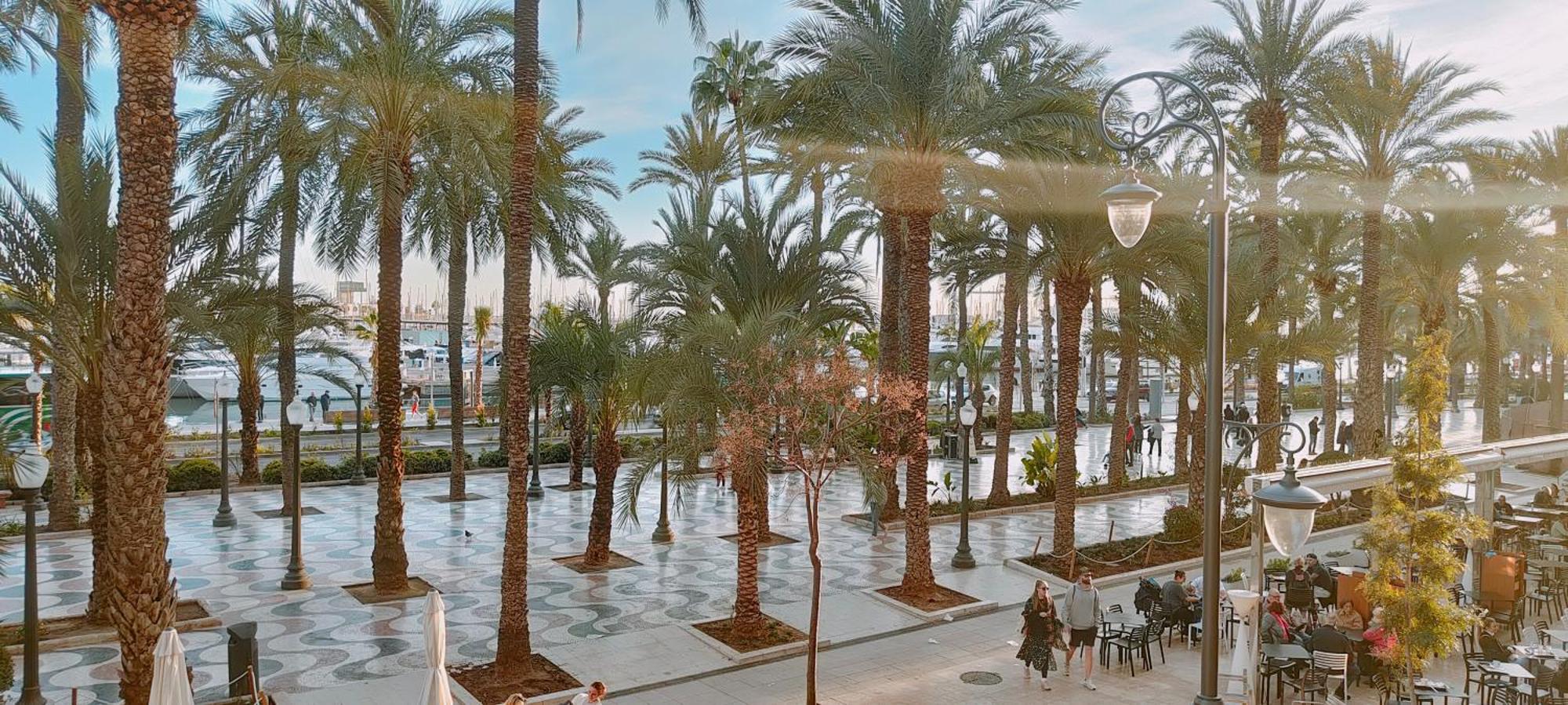 Alicantissima Marina & Beach アリカンテ エクステリア 写真